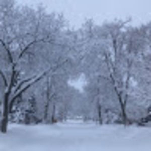 Meet your Posher, Bridget